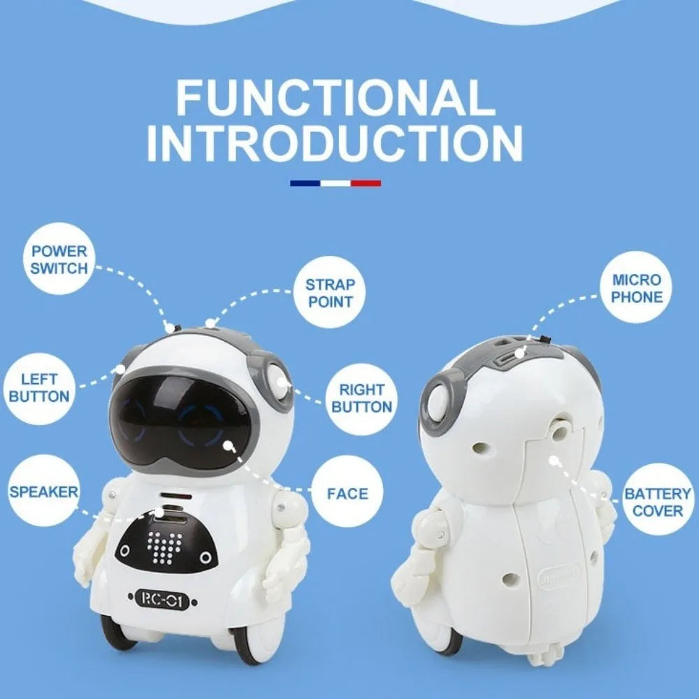Multifunctional Smart Mini Robot