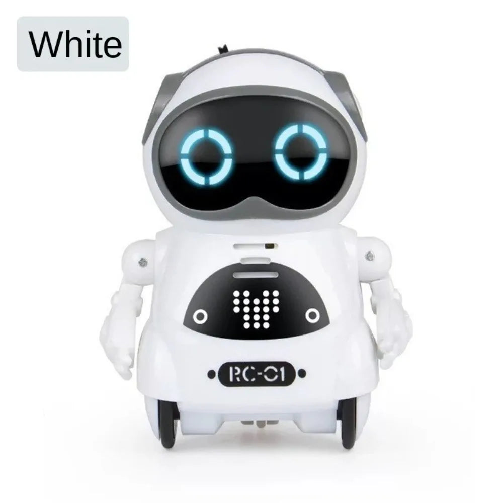 Multifunctional Smart Mini Robot
