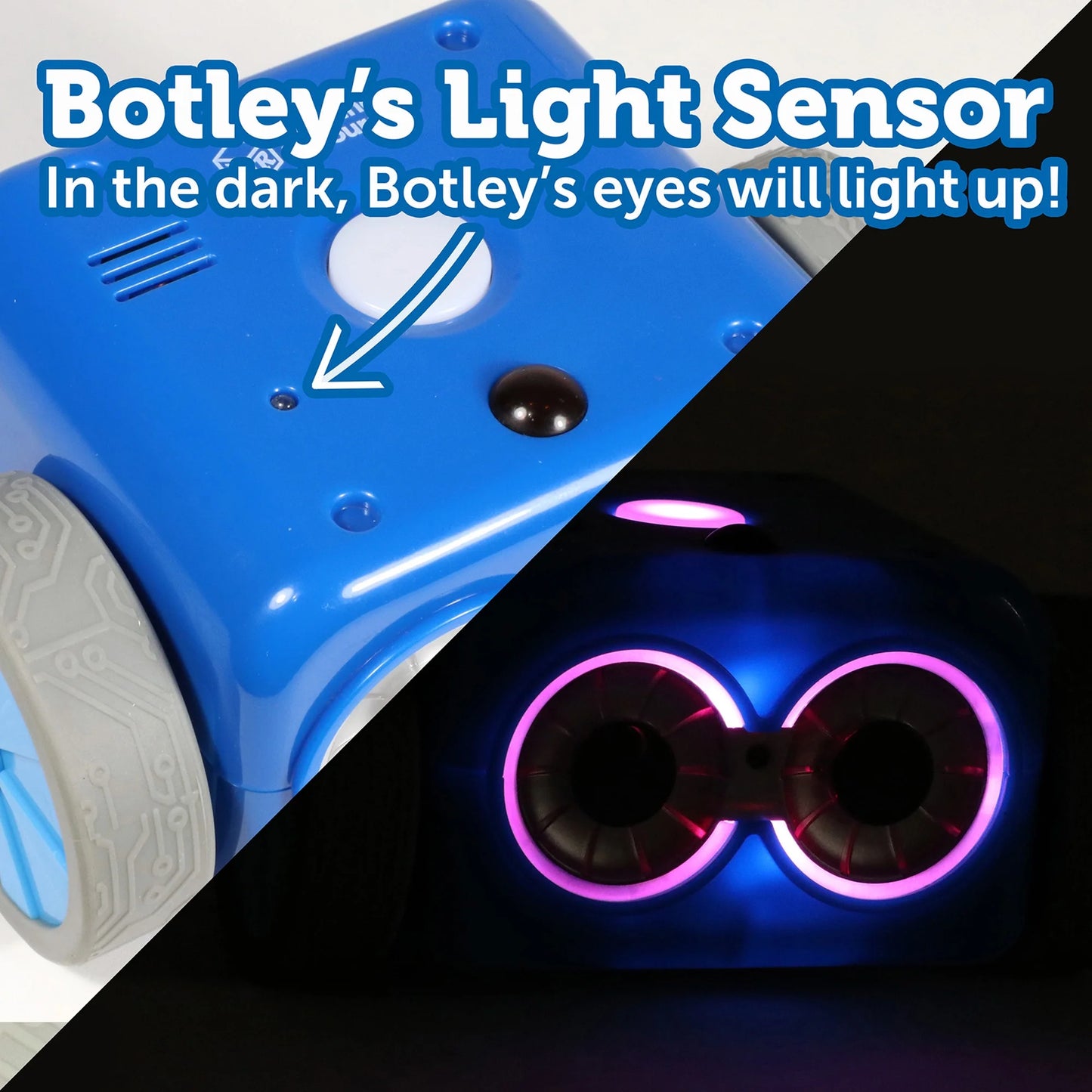 Botley 2.0 coding robot