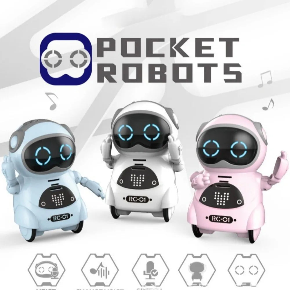 Multifunctional Smart Mini Robot