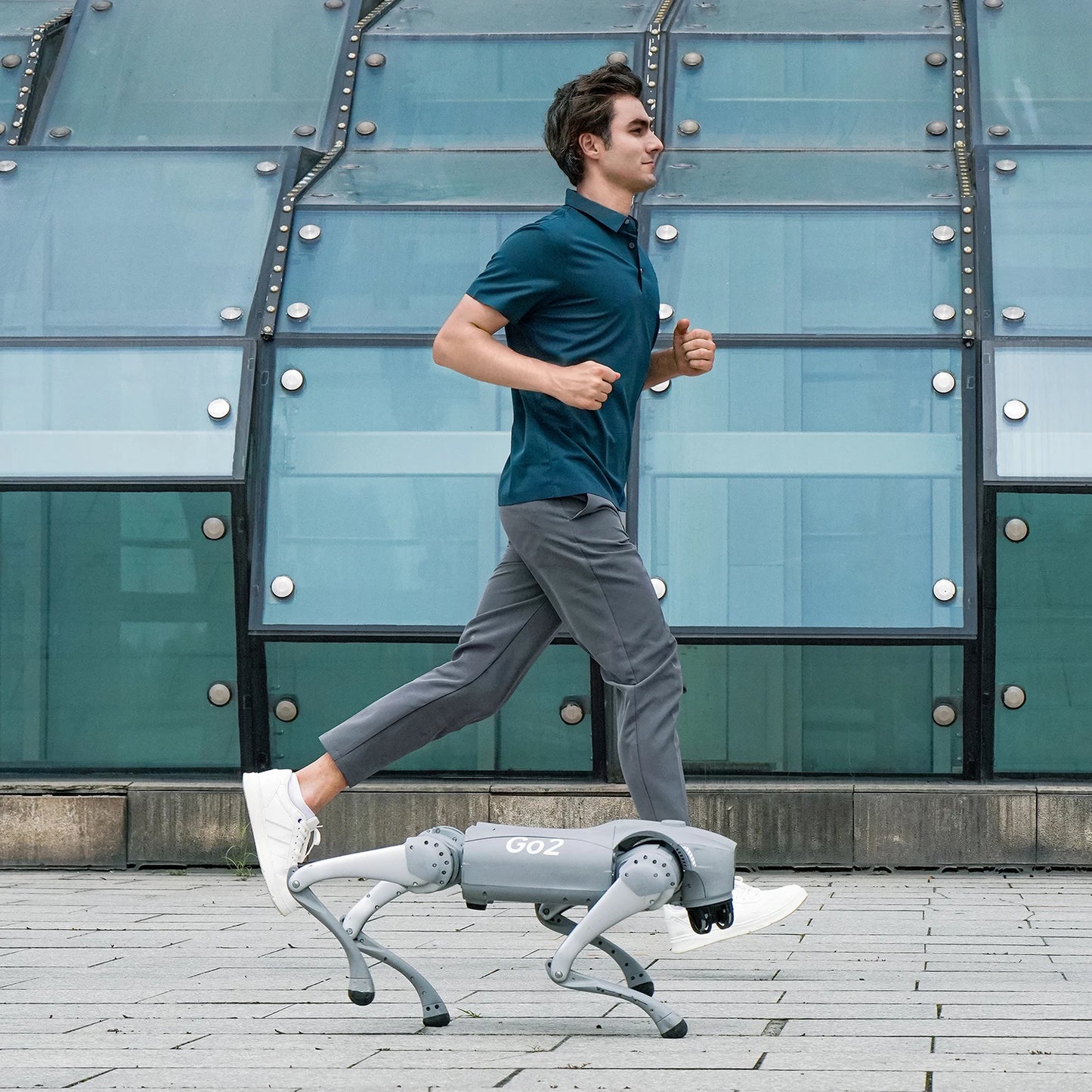quadruped robot dog