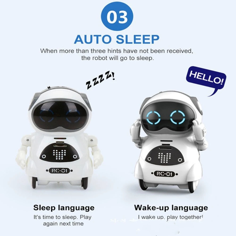 Multifunctional Smart Mini Robot