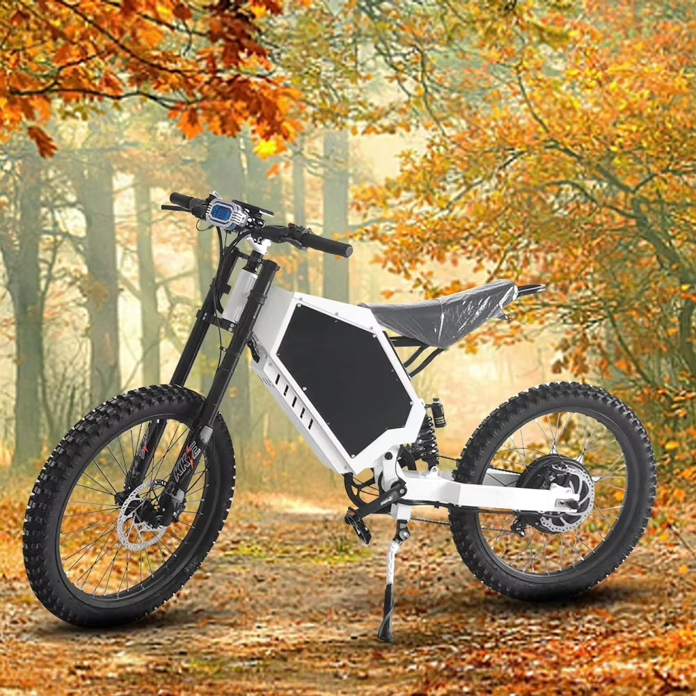 3000W electric city bike