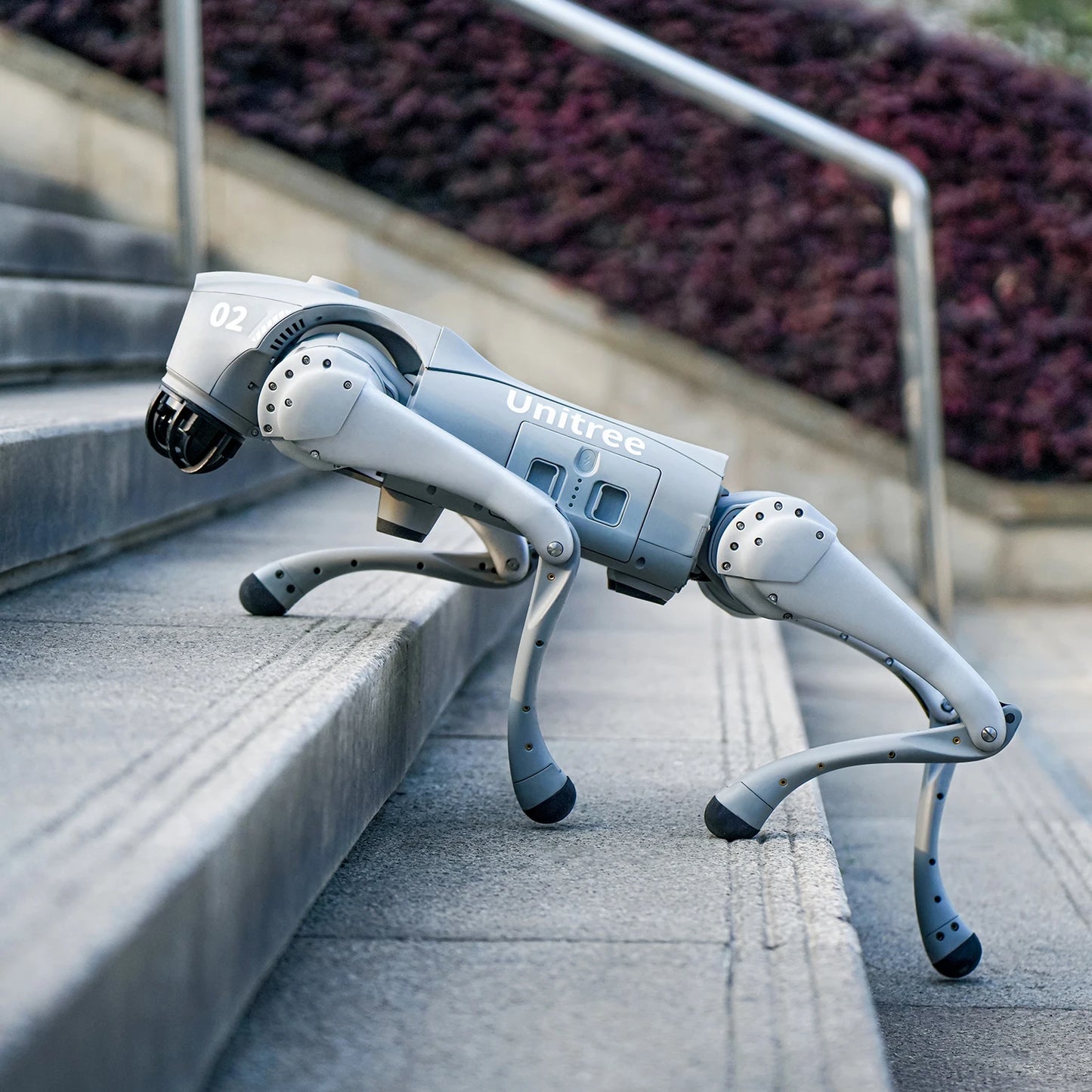 Quadruped robot dog climbing stairs, showcasing its autonomous walking capabilities and sleek design.