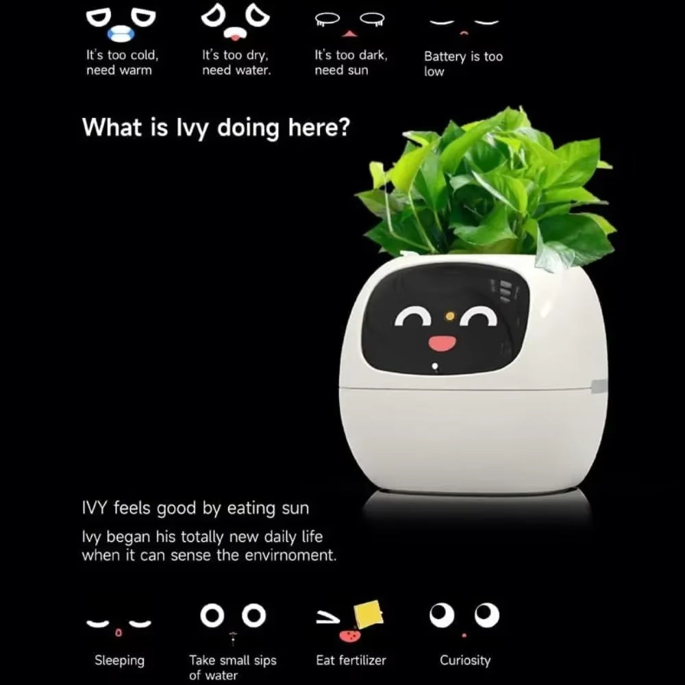 smart self-watering flowerpots