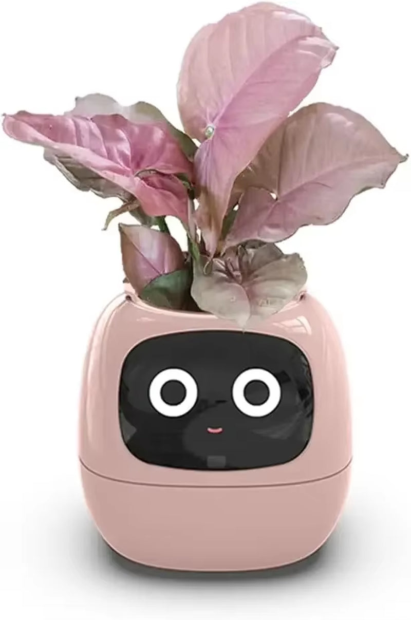 smart self-watering flowerpots