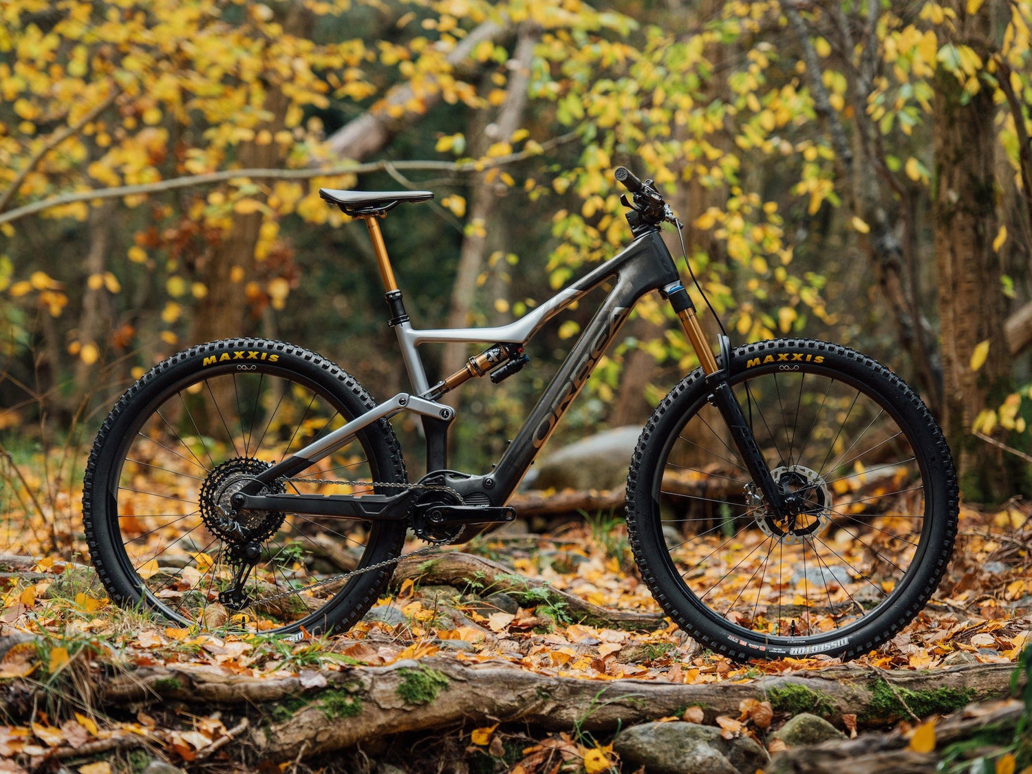 eBikes