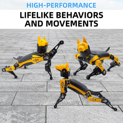 robotics coding kit for students