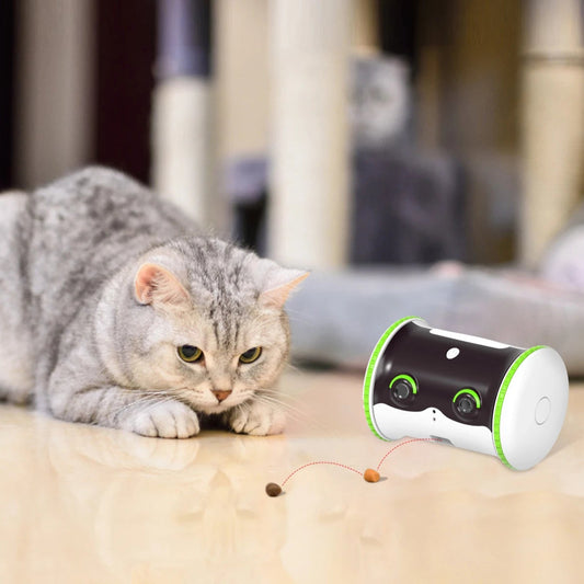 Little Puffer Robot Pet Feeder with a cat playing and waiting for treats on the floor.