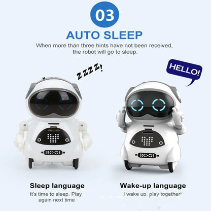 Multifunctional Smart Mini Robot