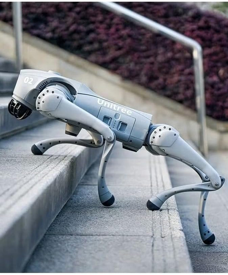 Go2 Robot Dog Quadruped Robotics for Adults Embodied AI (Go2 Air)