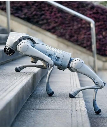 Go2 Robot Dog Quadruped Robotics for Adults Embodied AI (Go2 Air)